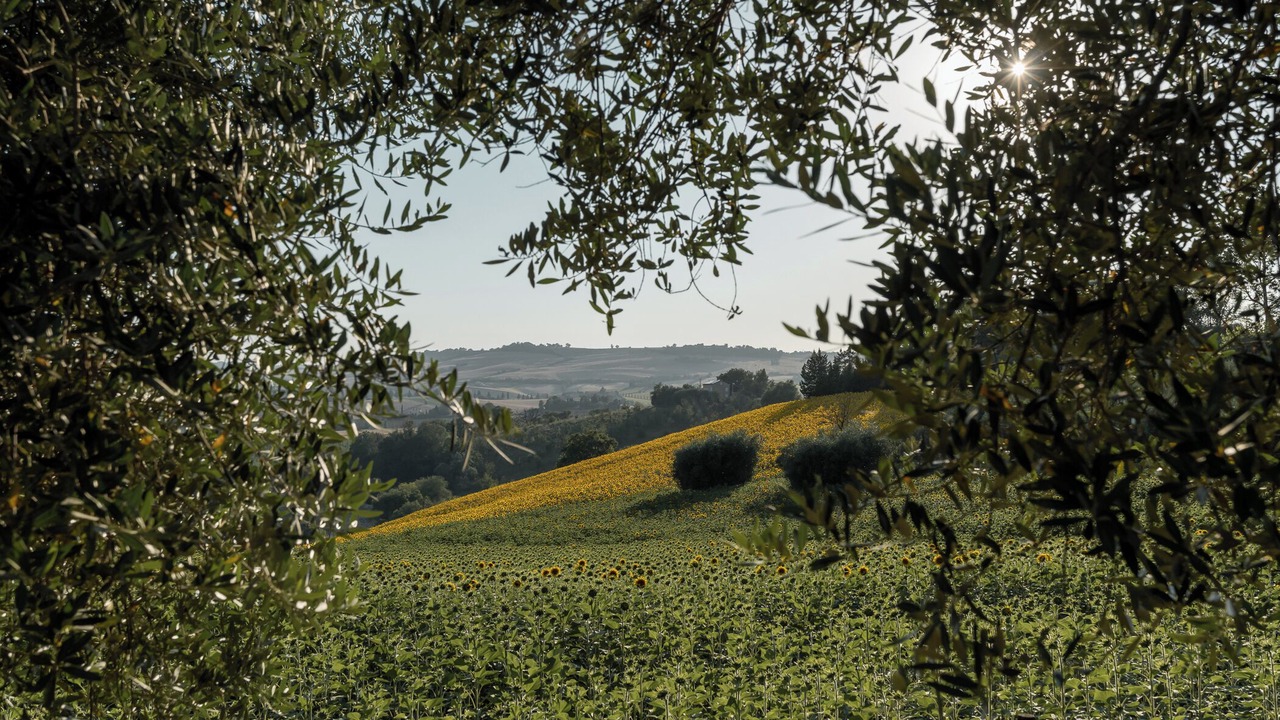 Photo of Others in Petriolo