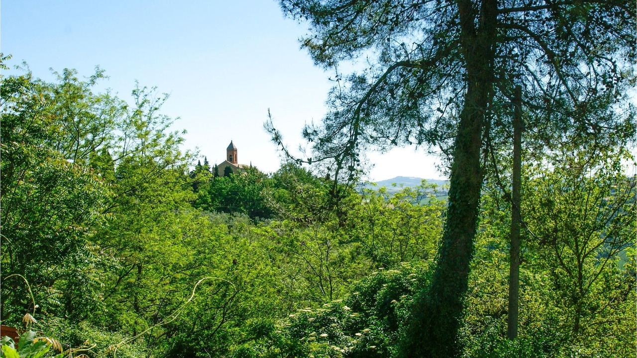 Photo of Outdoor in Montefiore Conca