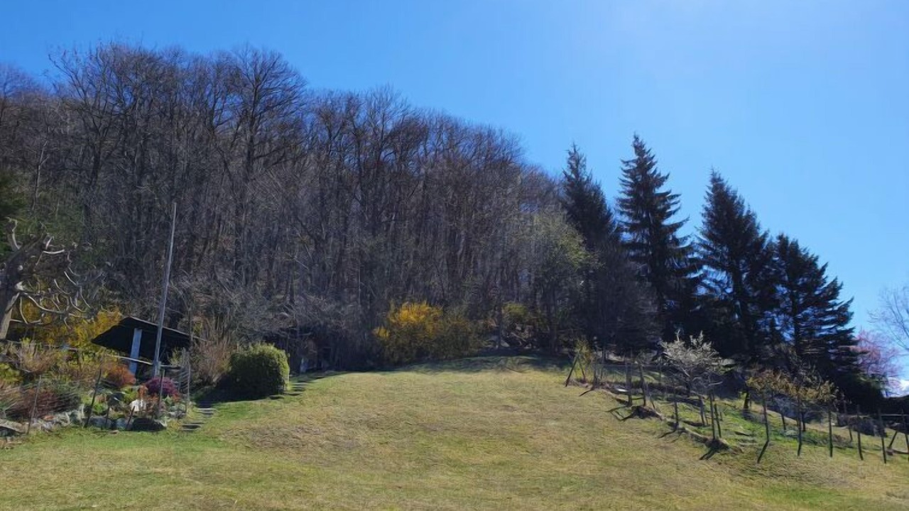 Photo of Outdoor in Pianezzo