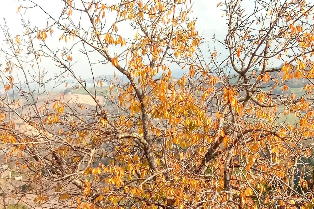 Photo of Outdoor in Servigliano