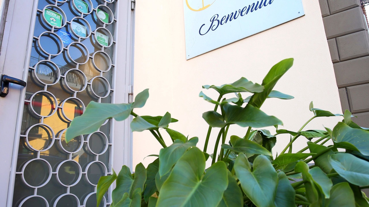 Photo of Outdoor in Cercola