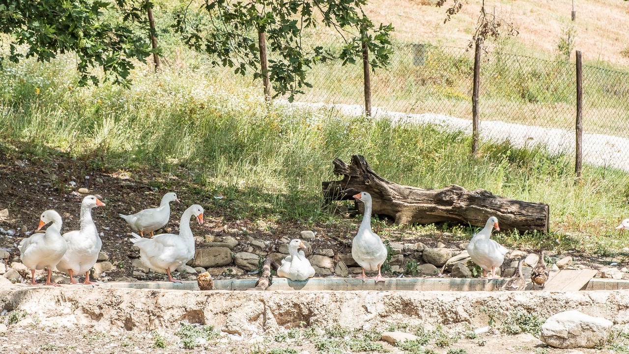 Photo of Outdoor in Montelovesco