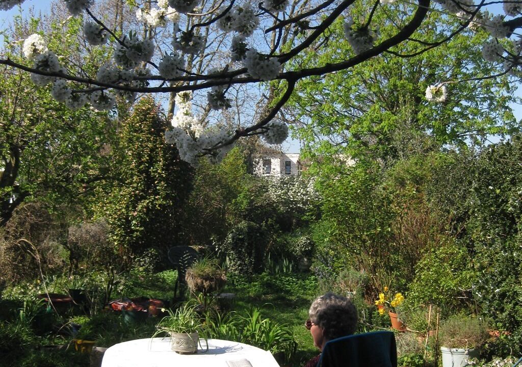 Photo of Others in Forest Gate