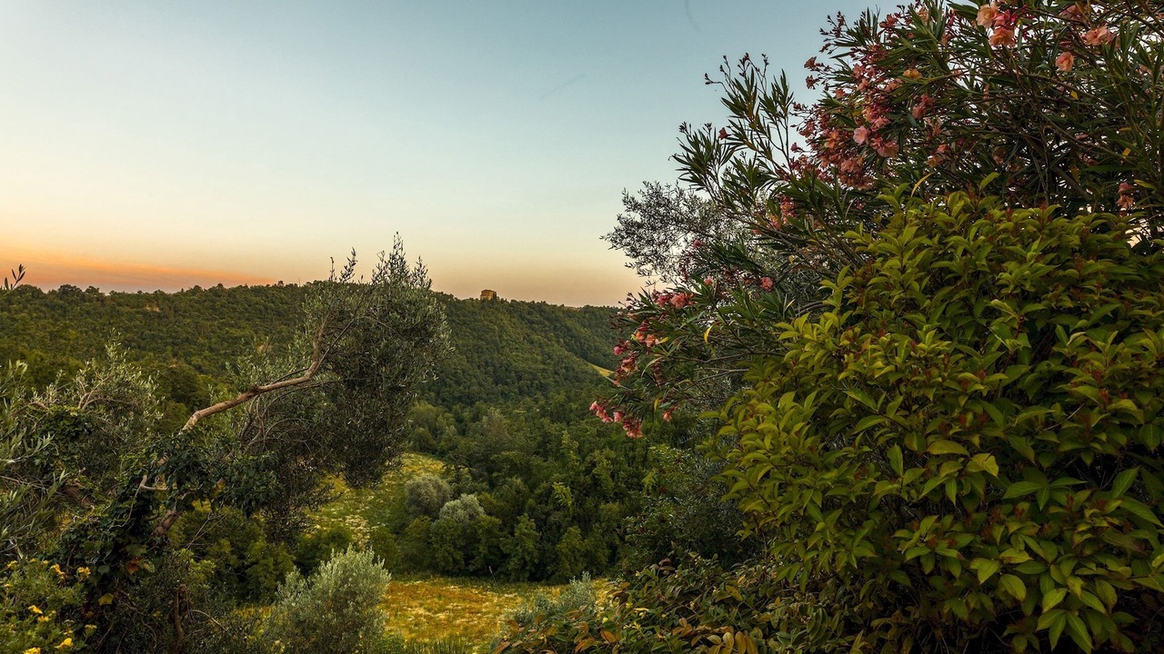 Photo of Outdoor in Pietralunga