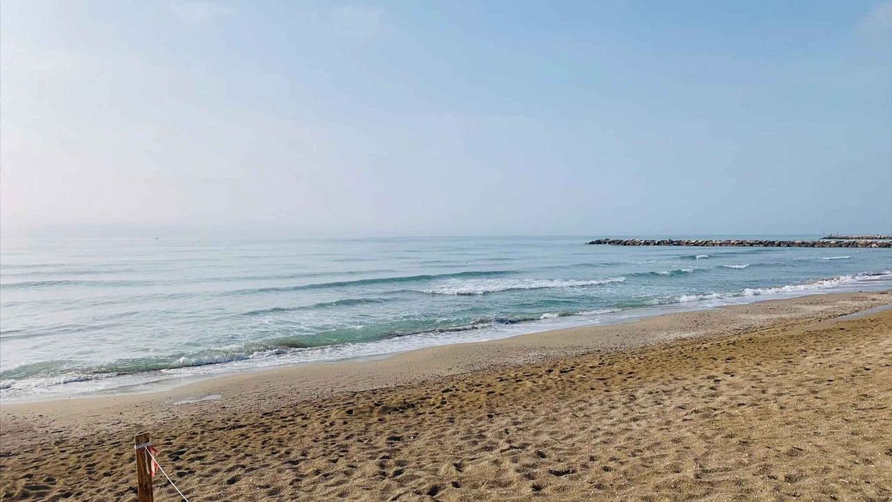 Photo of Others in Eraclea Mare