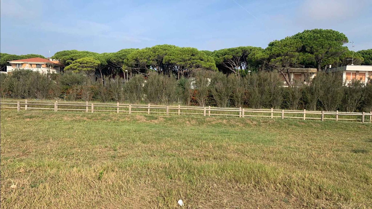 Photo of Outdoor in Eraclea Mare