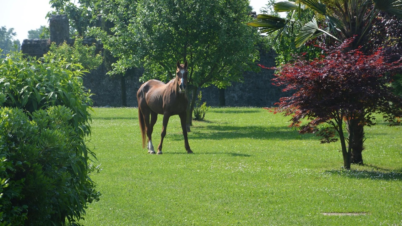 Photo of Others in Colugna