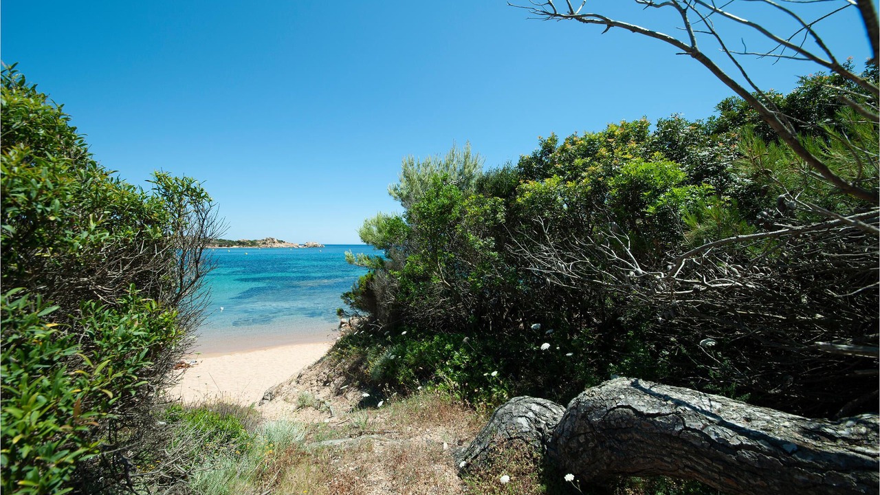 Photo of Others in La Maddalena