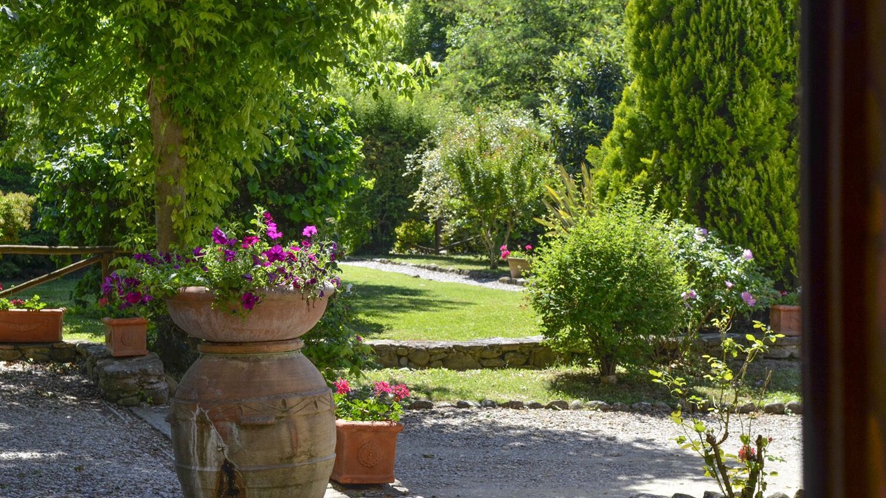 Photo of Outdoor in San Pietro a Cegliolo