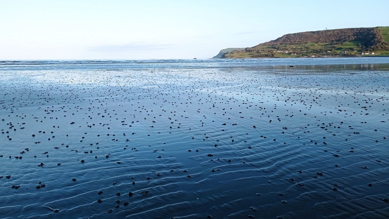 Photo of Others in Carnlough