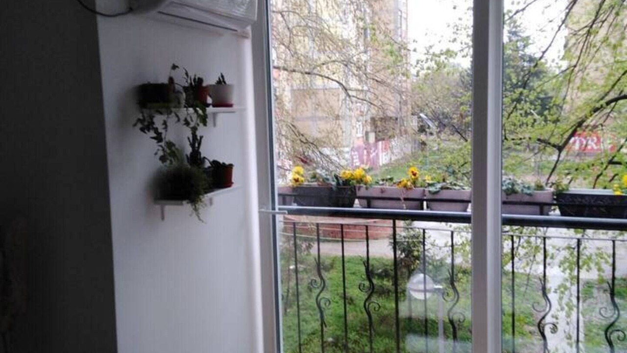 Photo of Others in Novi Sad