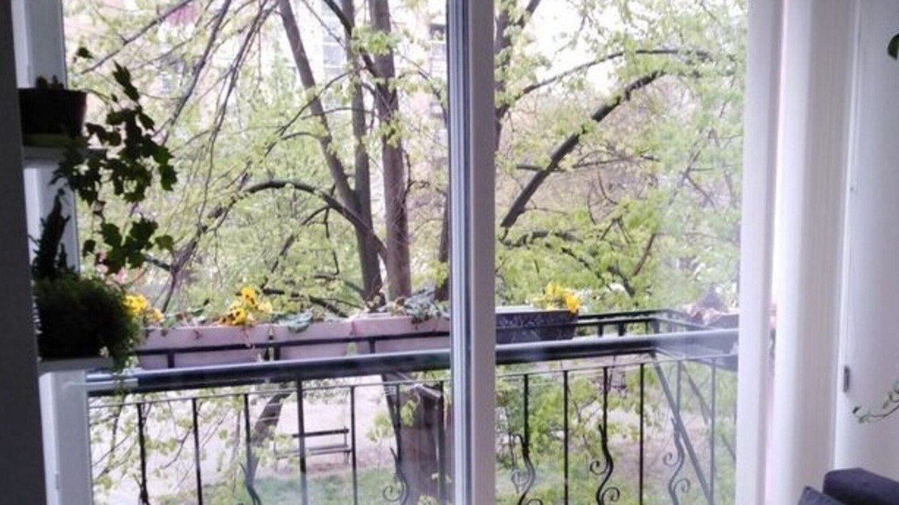 Photo of Outdoor in Novi Sad