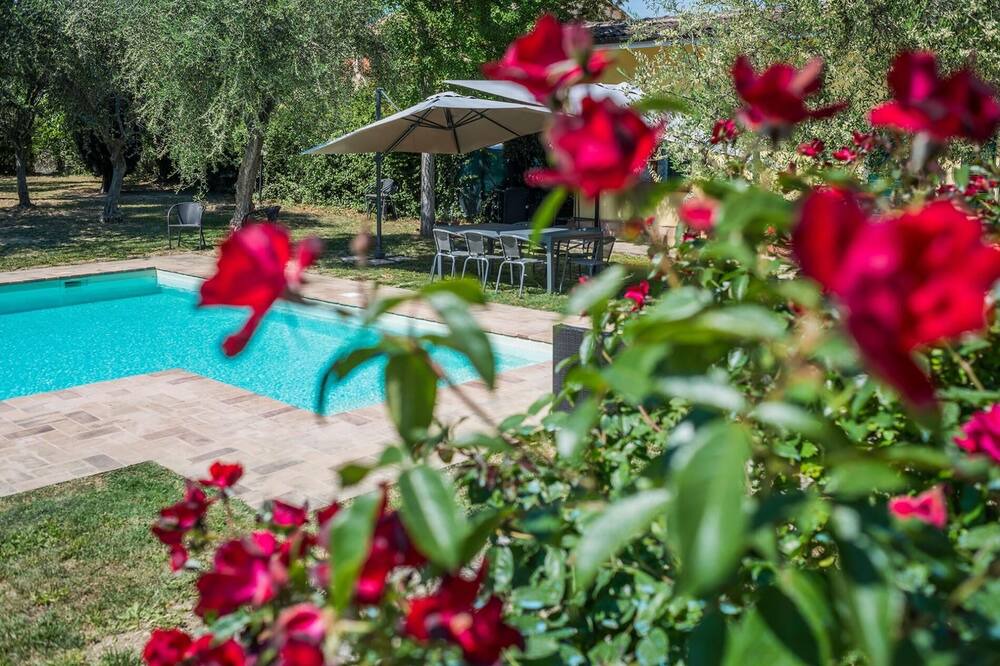 Photo of Outdoor in Mogliano