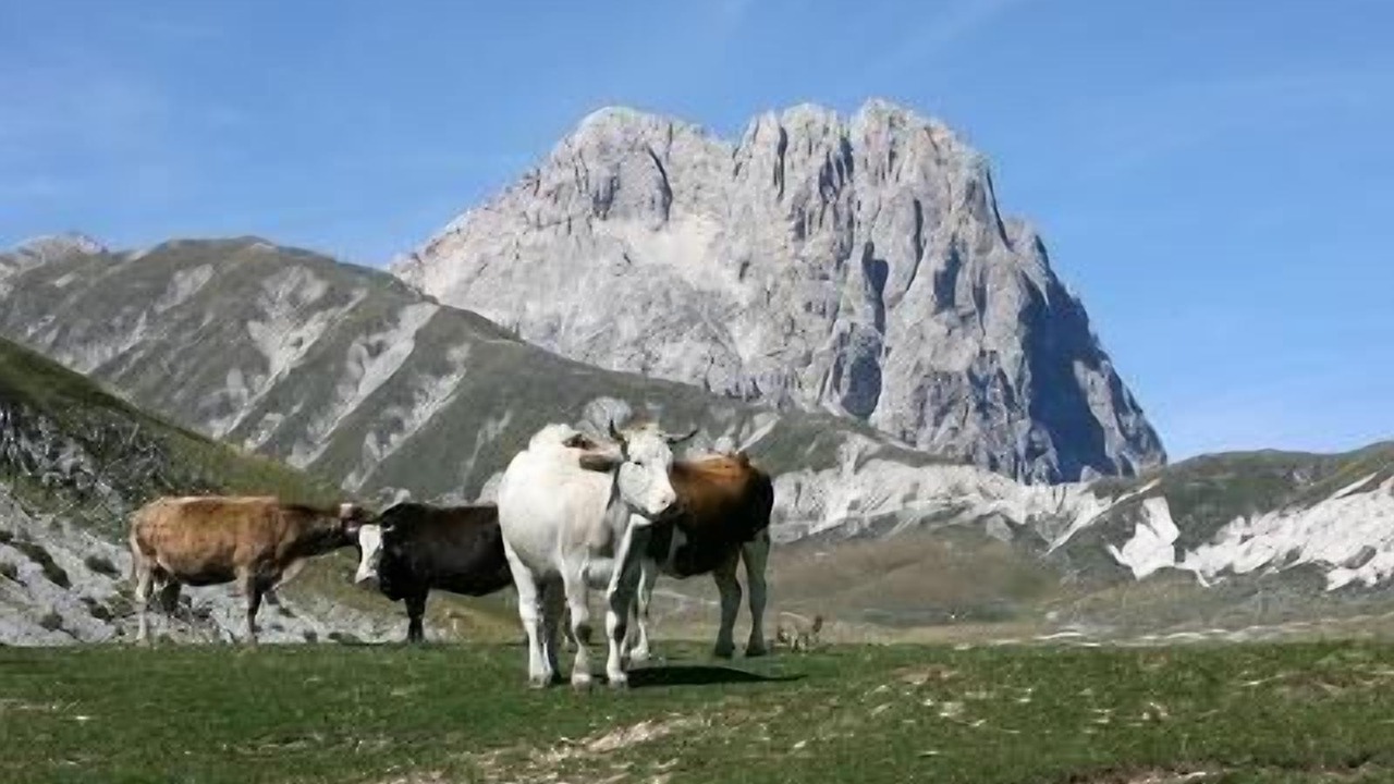 Photo of Outdoor in Cellino Attanasio