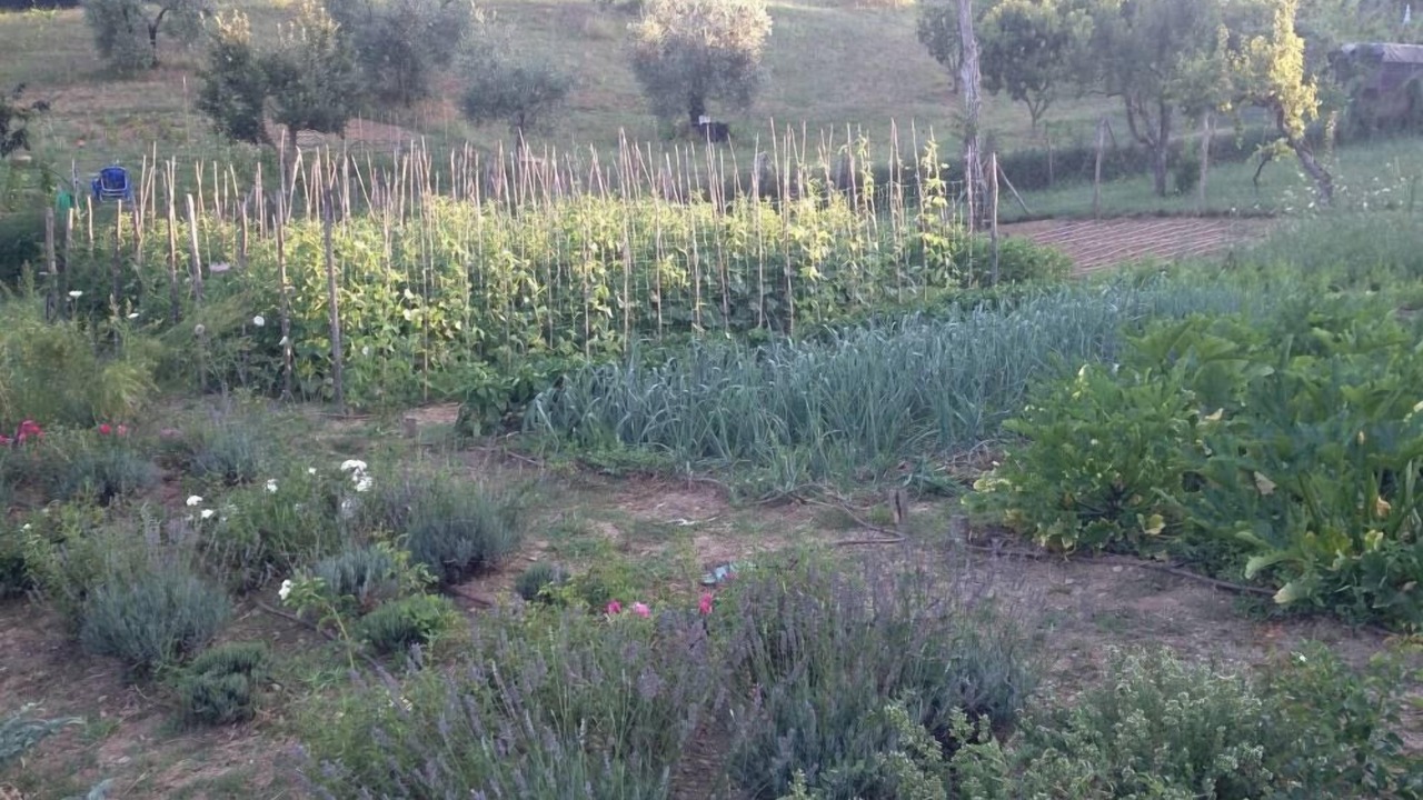 Photo of Outdoor in Impruneta