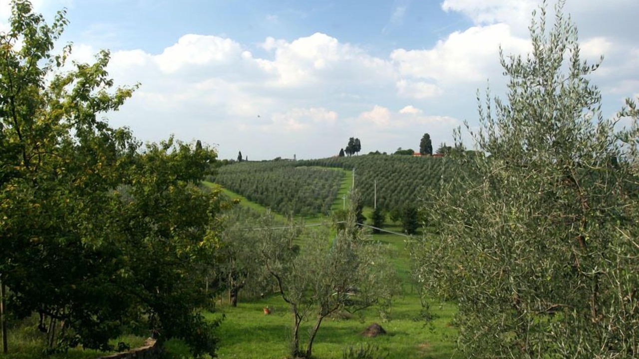 Photo of Outdoor in Impruneta