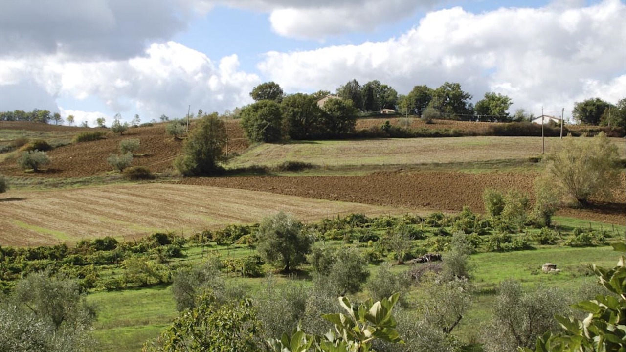 Photo of Others in Il Poggio