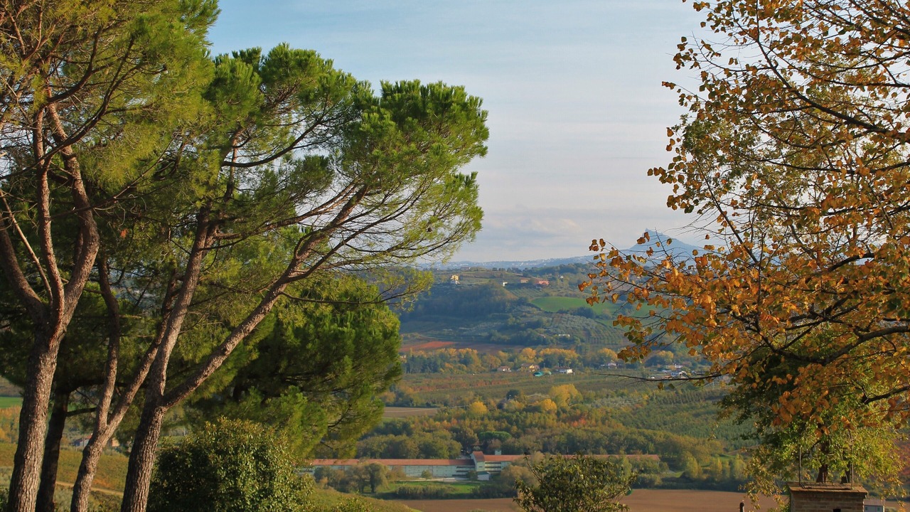 Photo of Outdoor in Longiano
