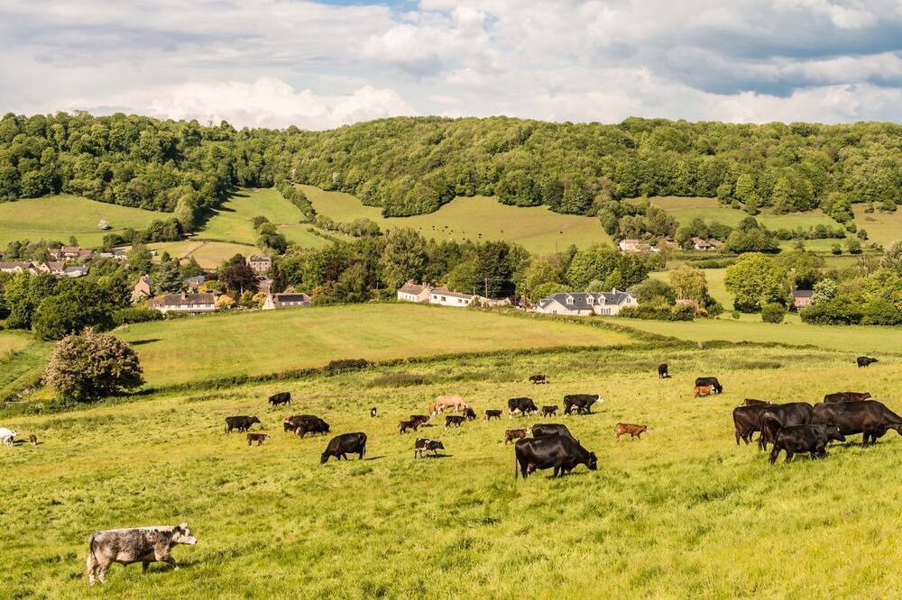 Photo of Others in Dursley