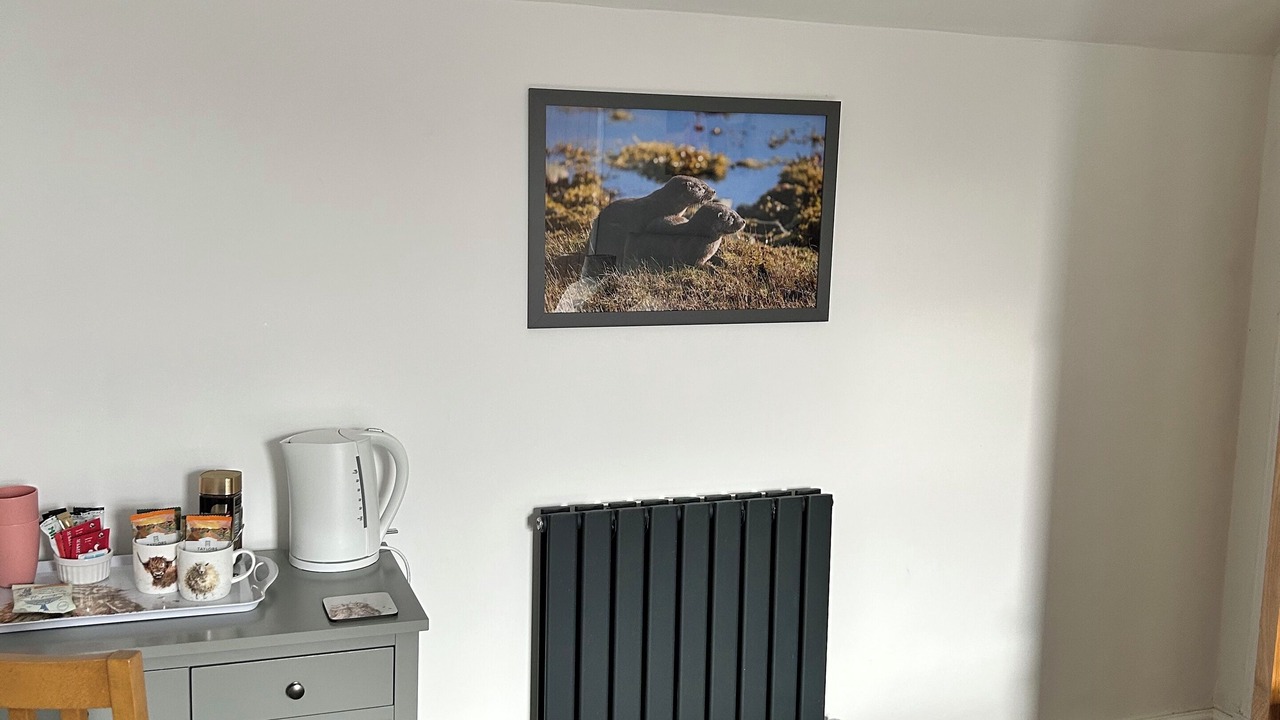 Photo of Bedroom in Lochaline