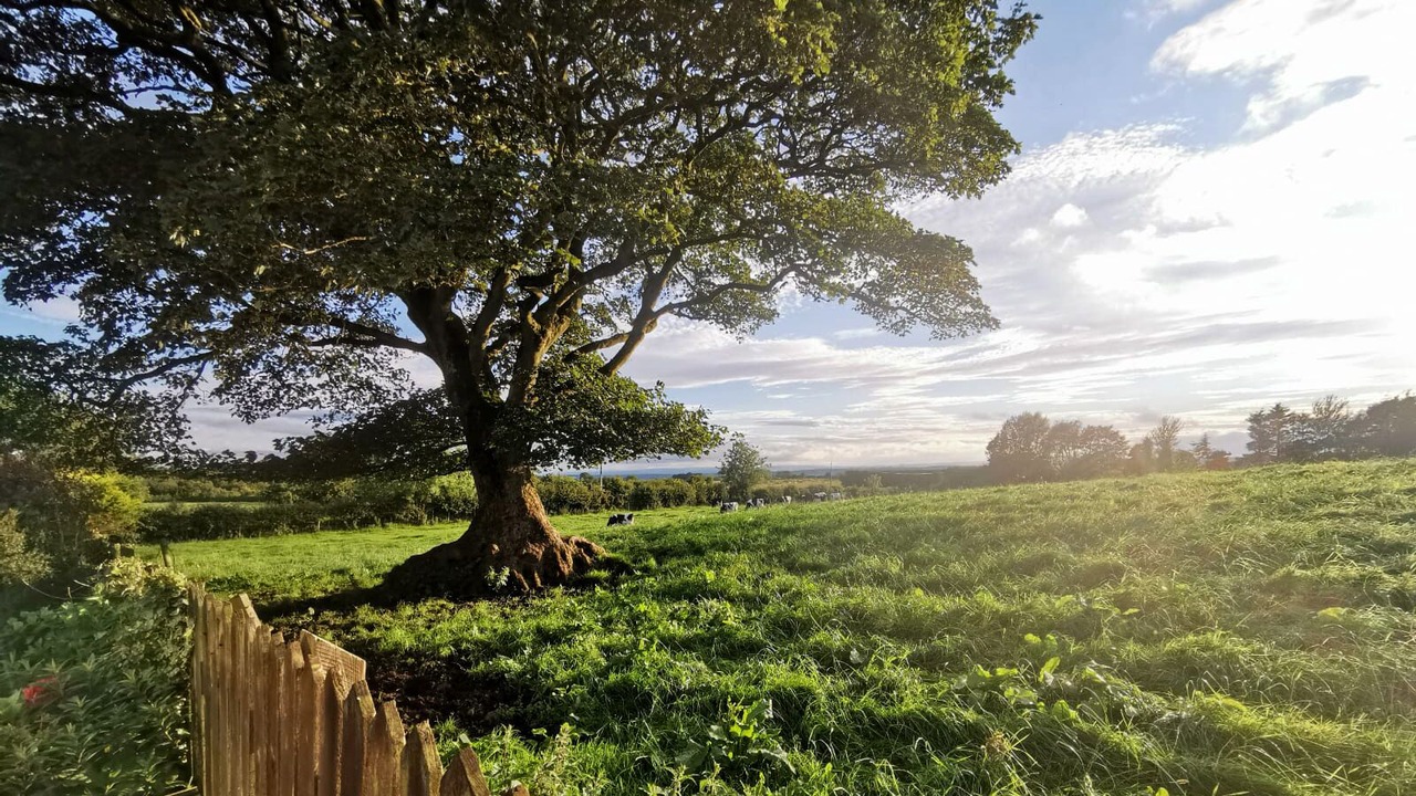 Photo of Outdoor in Bushmills