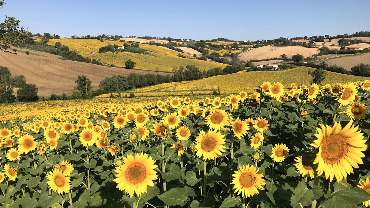 Photo of Outdoor in Bettolelle