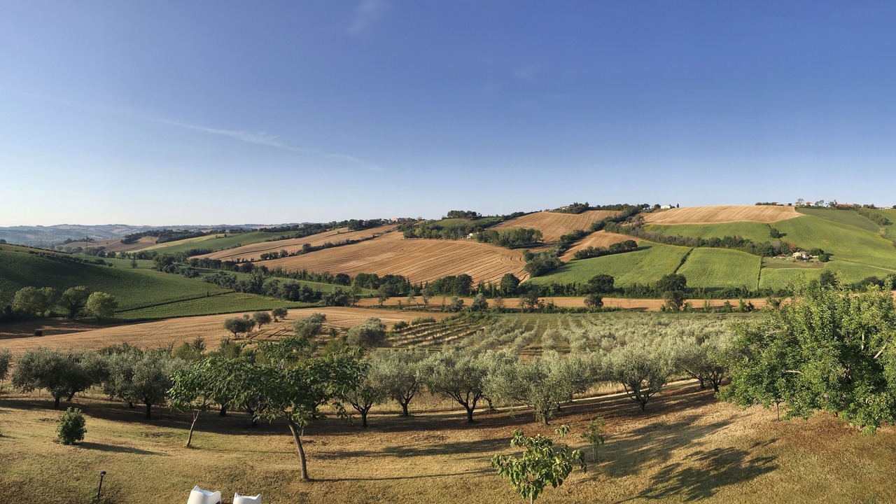 Photo of Outdoor in Bettolelle