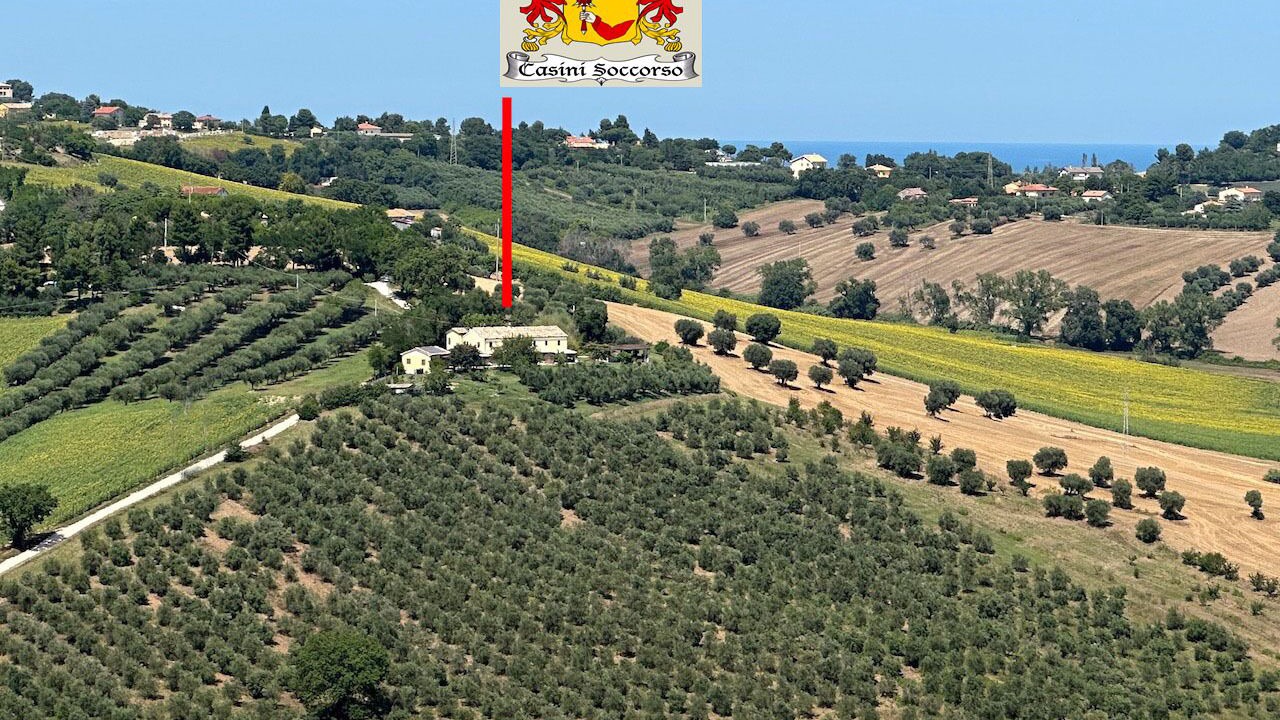 Photo of Outdoor in Bettolelle