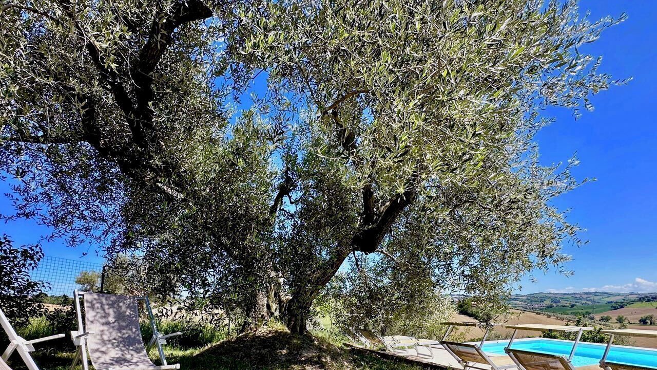 Photo of Outdoor in Bettolelle