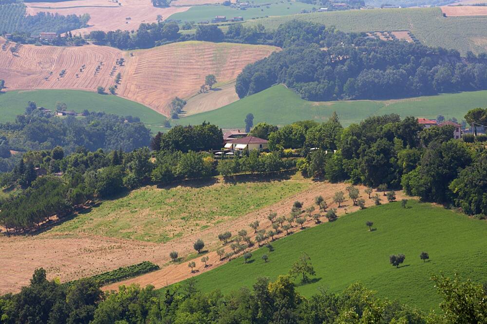 Photo of Others in Amandola