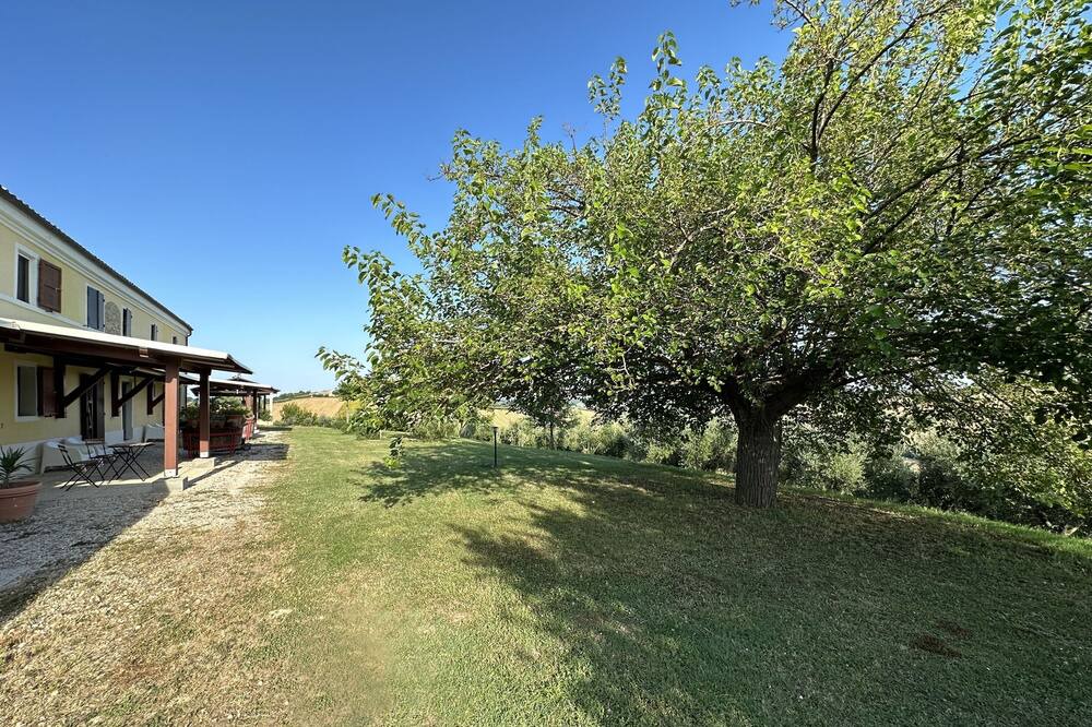 Photo of Outdoor in Bettolelle