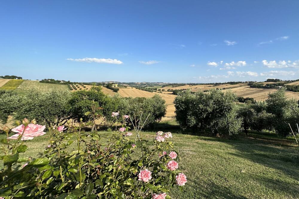 Photo of Outdoor in Bettolelle