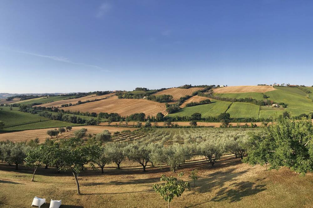 Photo of Outdoor in Bettolelle