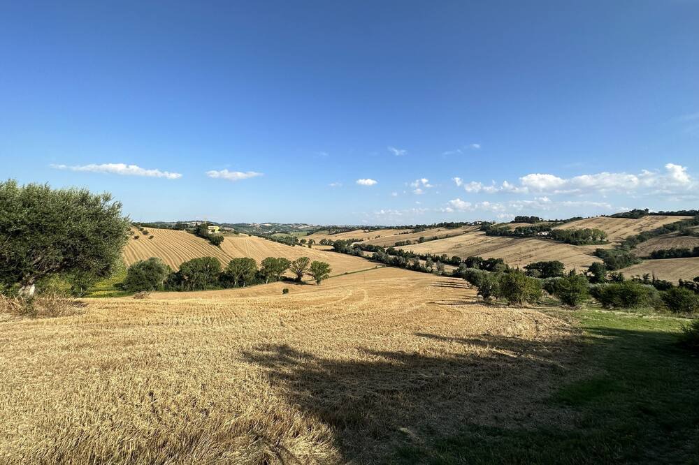 Photo of Others in Bettolelle