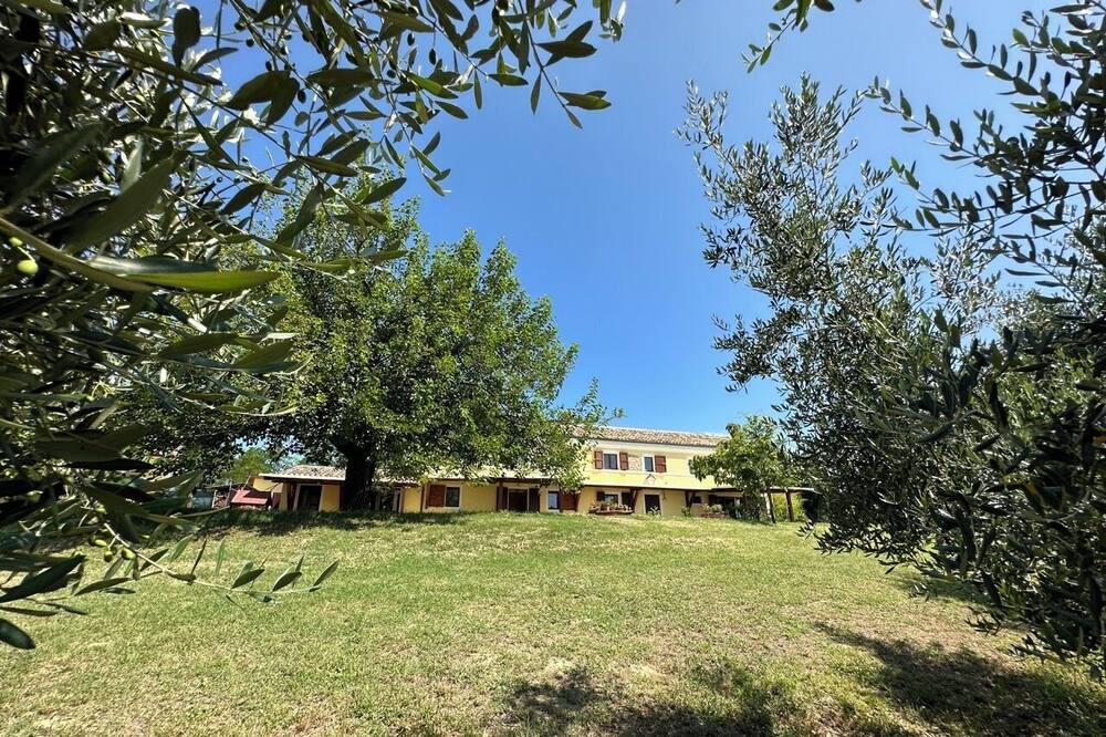 Photo of Outdoor in Bettolelle