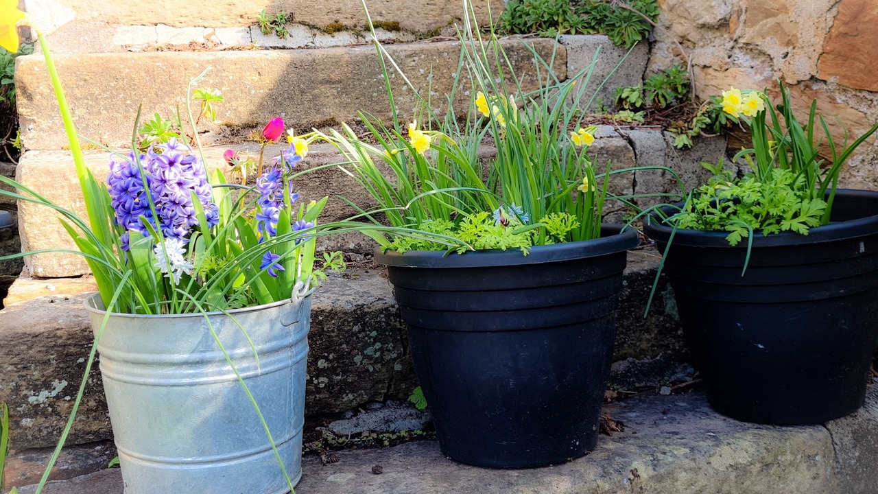 Photo of Outdoor in Anstruther