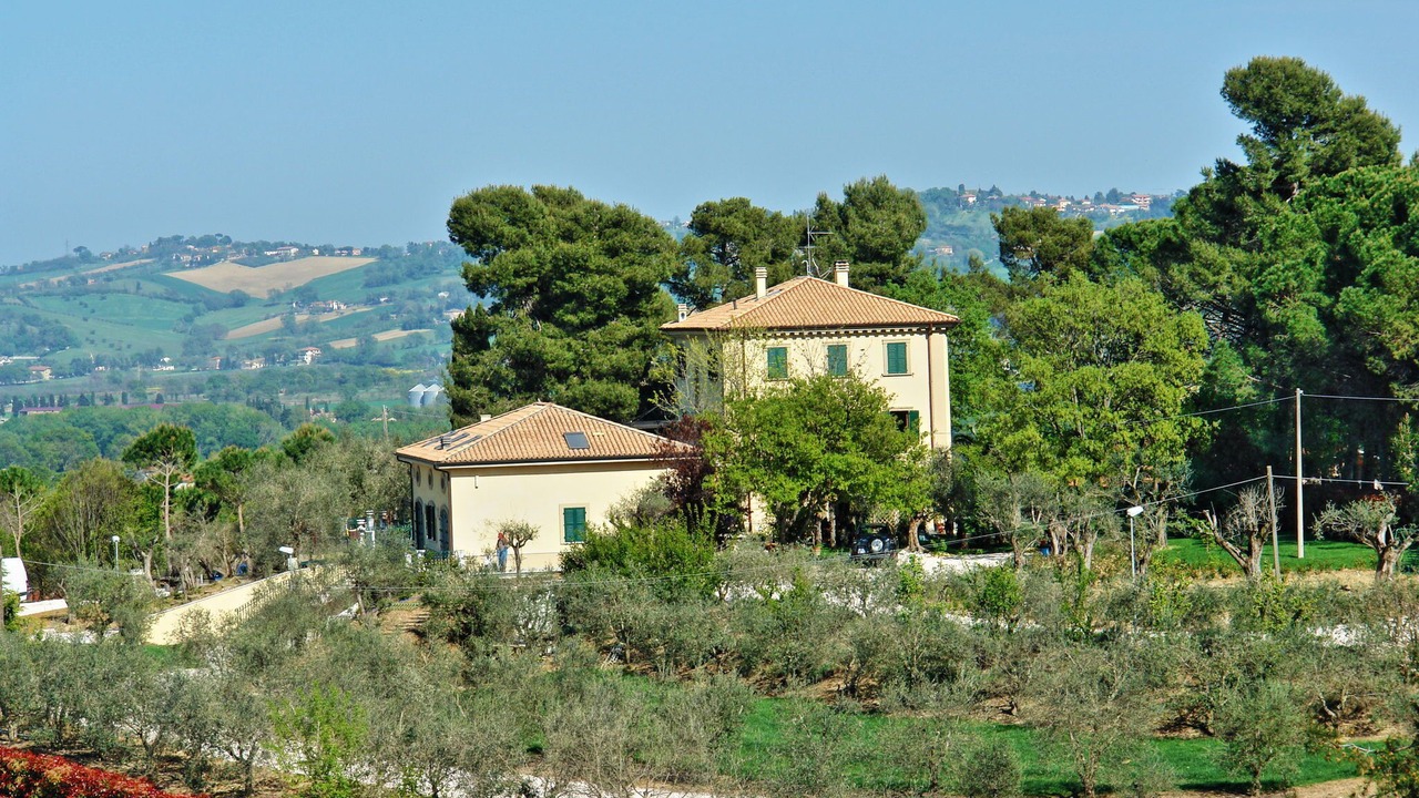 Photo of Outdoor in Mondavio