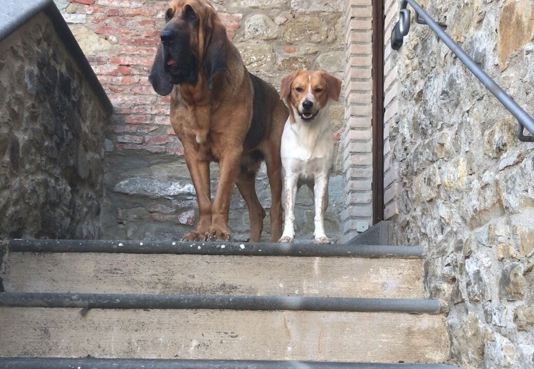 Photo of Outdoor in Lisciano Niccone