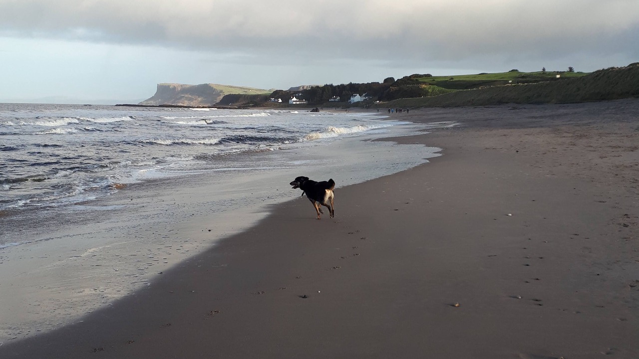 Photo of Others in Ballycastle