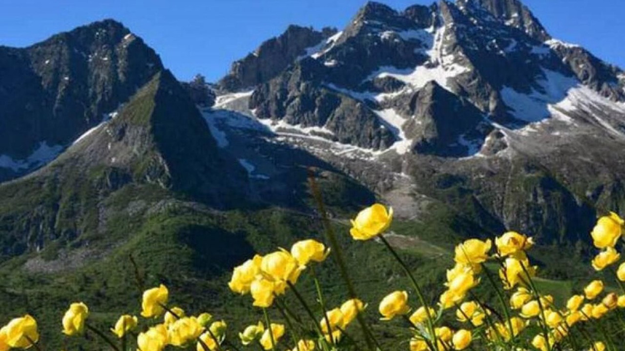 Photo of Outdoor in Passo del Tonale