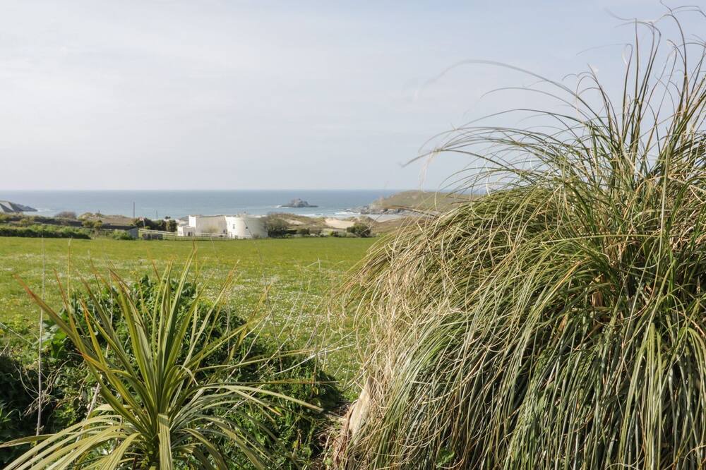Photo of Others in Crantock