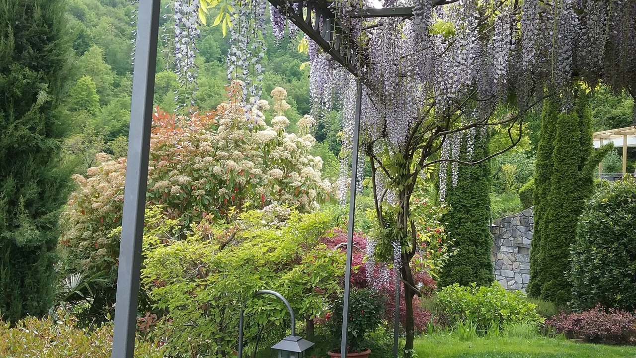 Photo of Outdoor in Cerano d'Intelvi