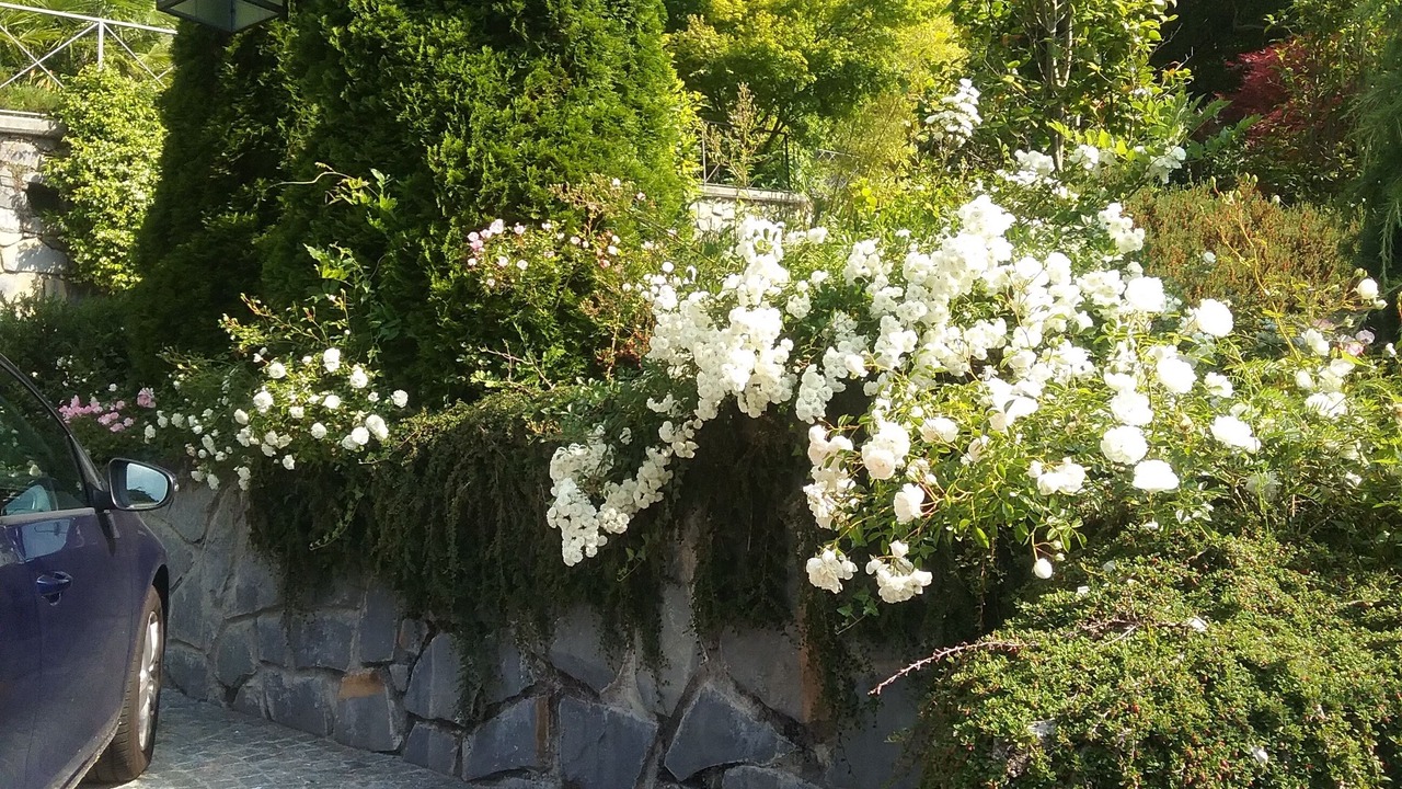 Photo of Outdoor in Cerano d'Intelvi