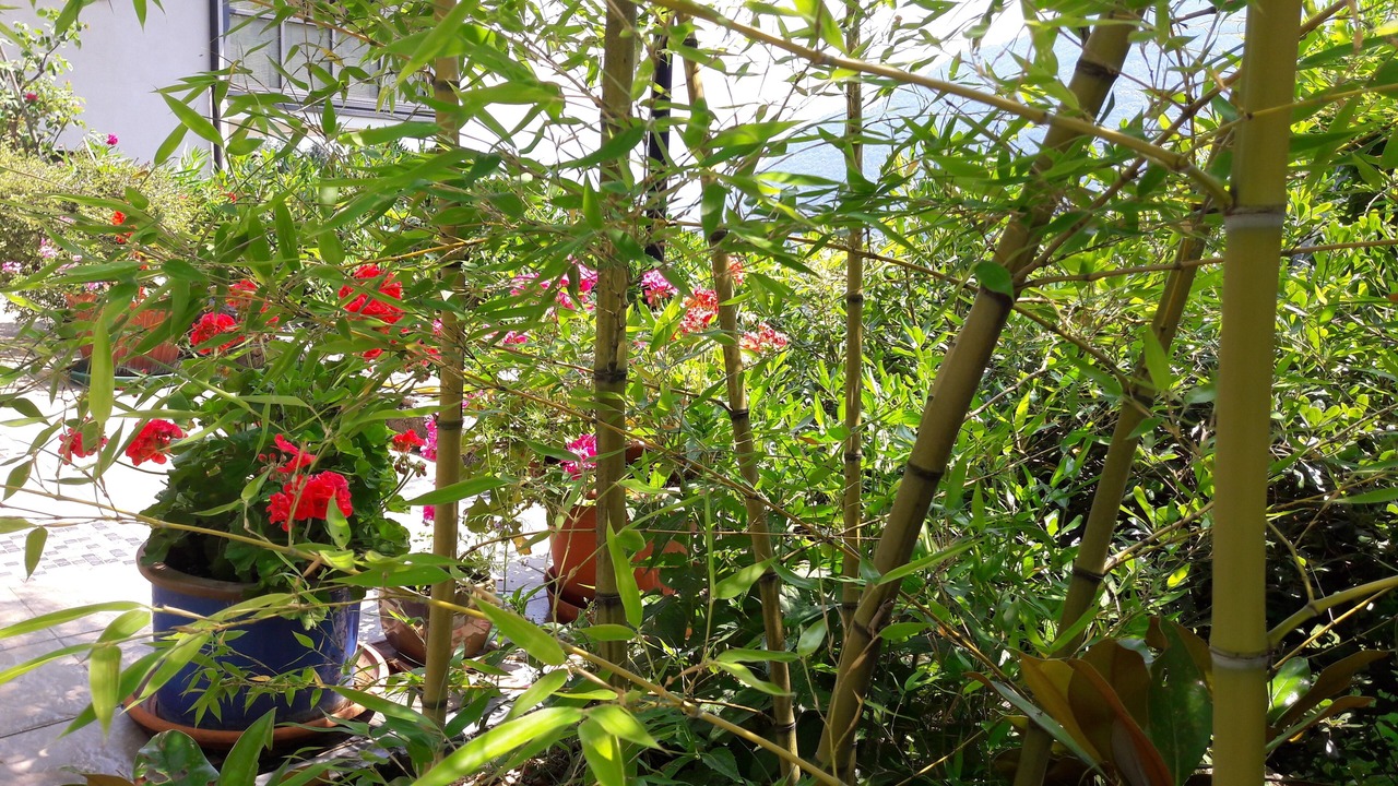 Photo of Outdoor in Cerano d'Intelvi