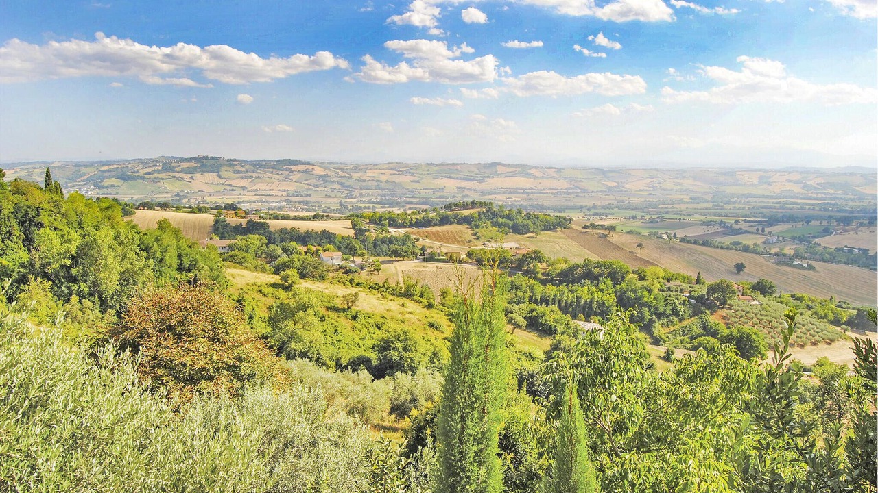Photo of Outdoor in Mogliano