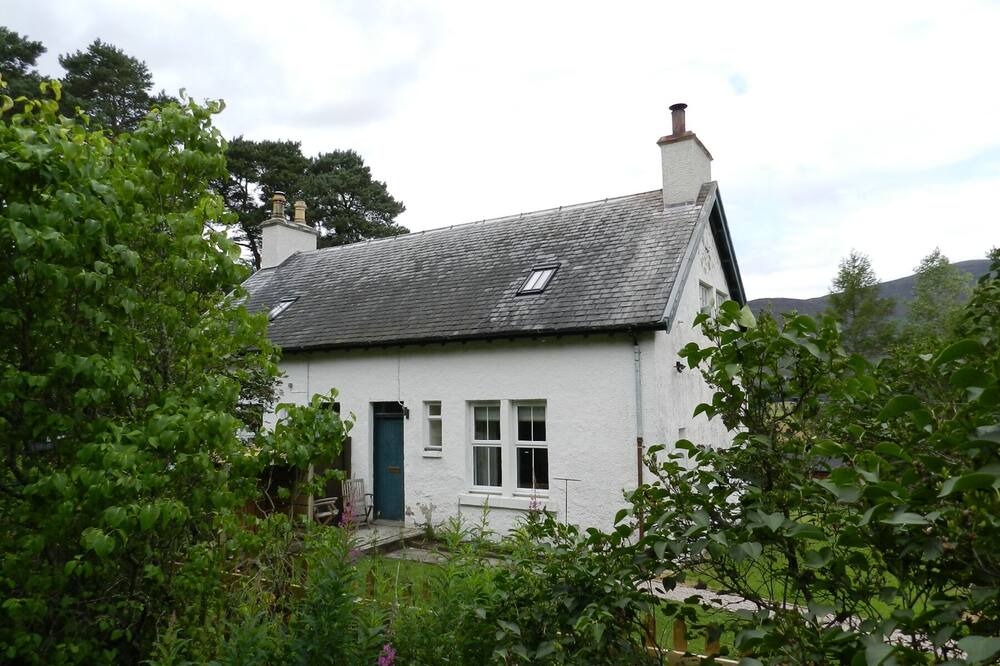 Photo of Outdoor in Alvie