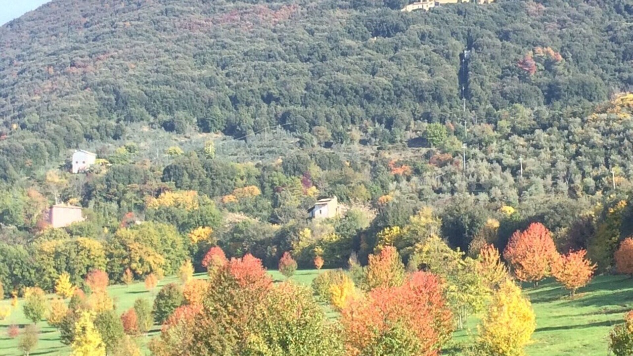 Photo of Others in Precetto