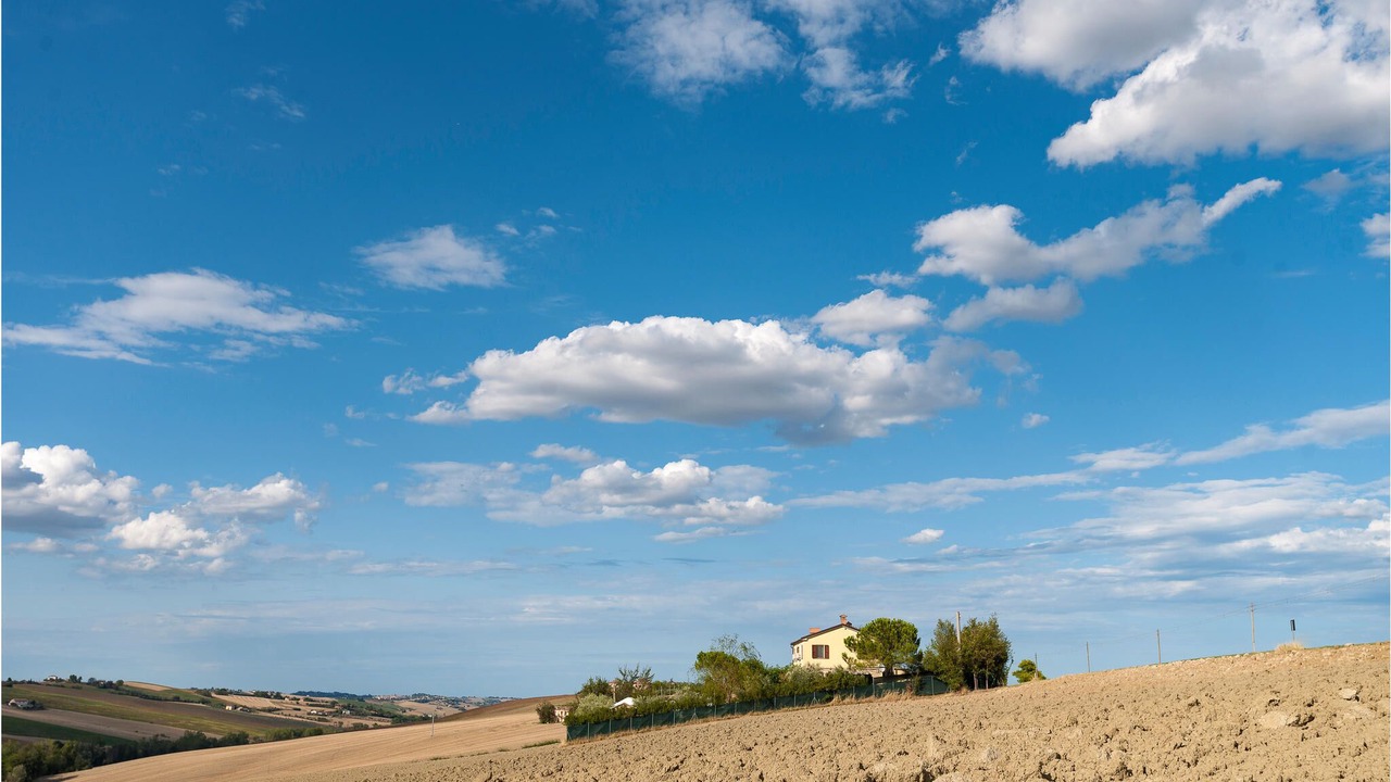 Photo of Others in Arcevia