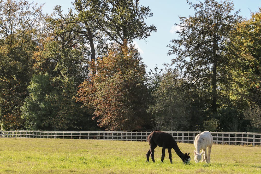 Photo of Outdoor in Aldermaston Wharf