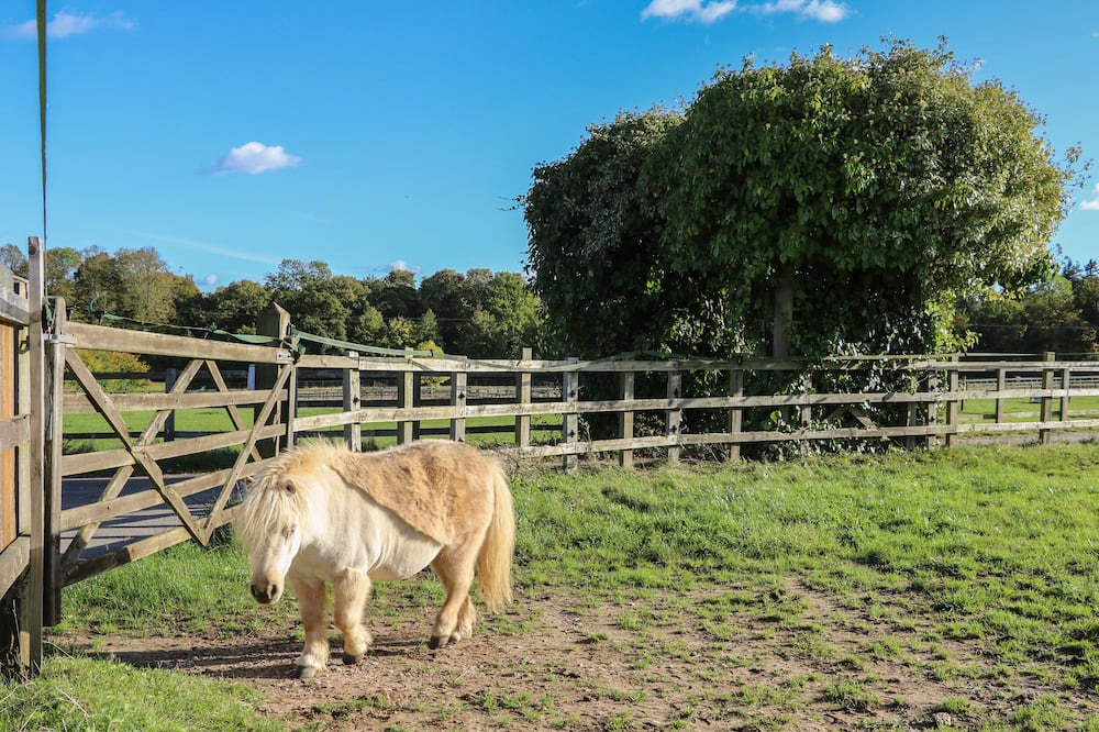 Photo of Outdoor in Aldermaston Wharf
